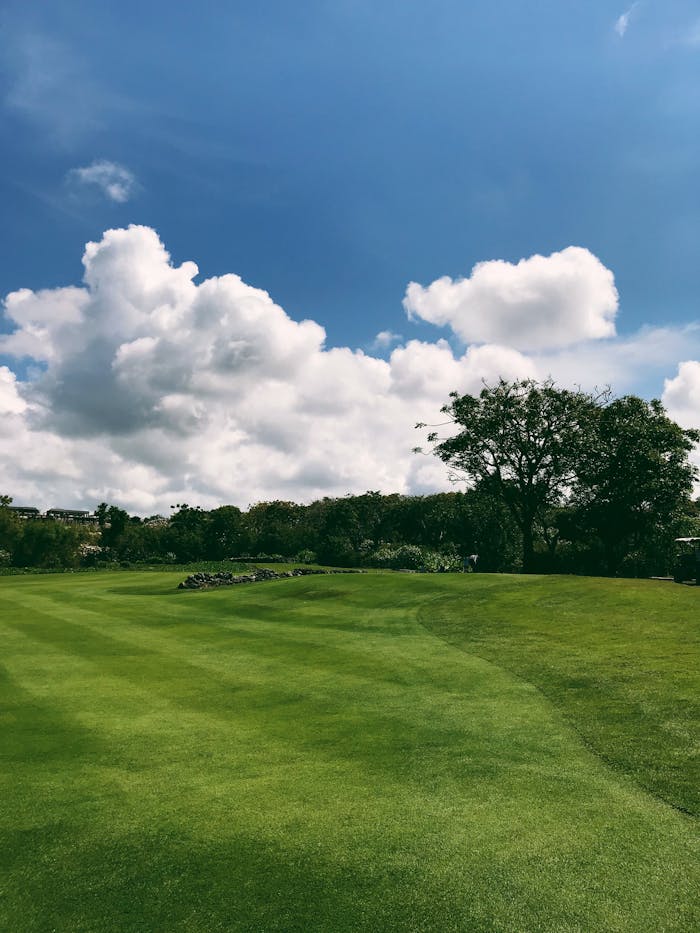 A scenic view of a vibrant golf course in Bali, showcasing lush greenery under a bright blue sky with fluffy white clouds.